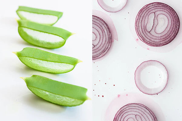 Benefits of Using Aloe Vera and Onion Juice for Hair Growth