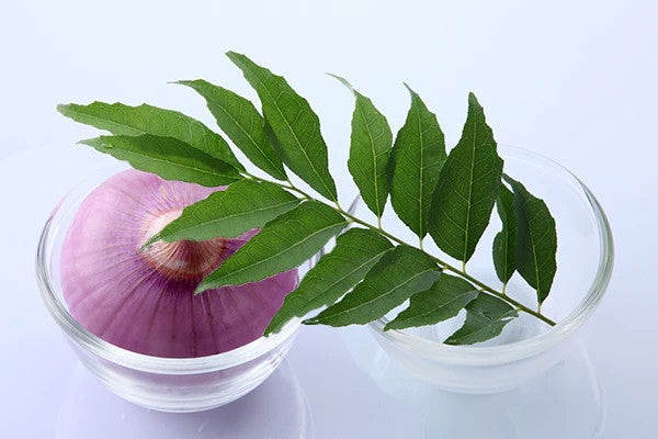 Benefits of Using Onion Juice and Curry Leaves on Hair
