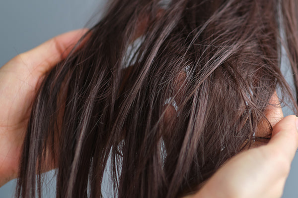 Summer Hair Care Routine for Dry Hair