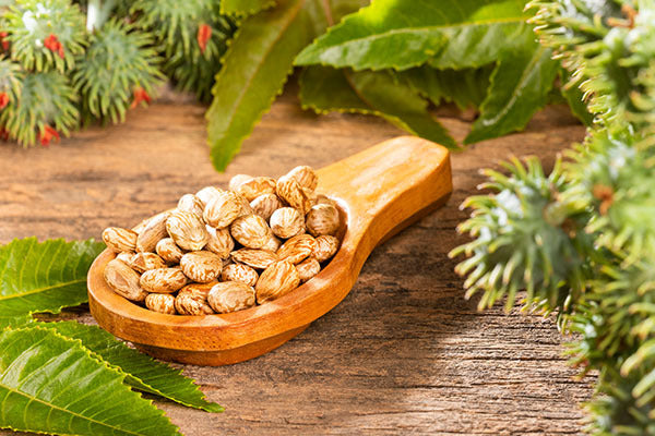 How to Use Castor Seed Oil for Hair