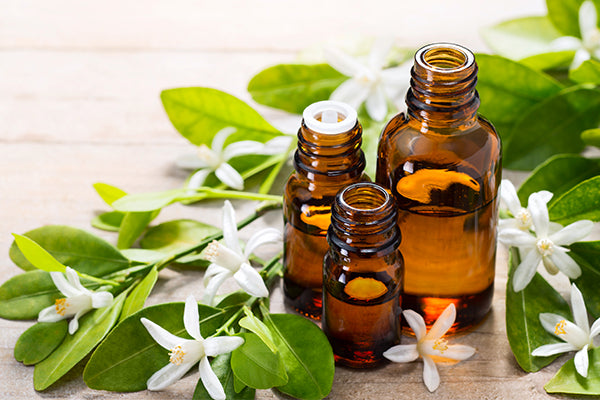 Neroli Oil: Benefits for Skin and Hair and How to Use It