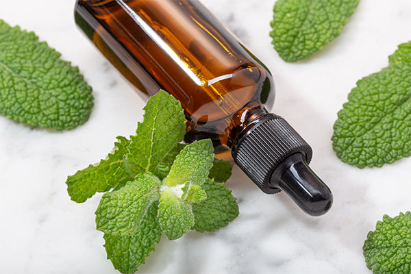 Peppermint Oil Versus Minoxidil: Which One Is Better for Hair Growth?