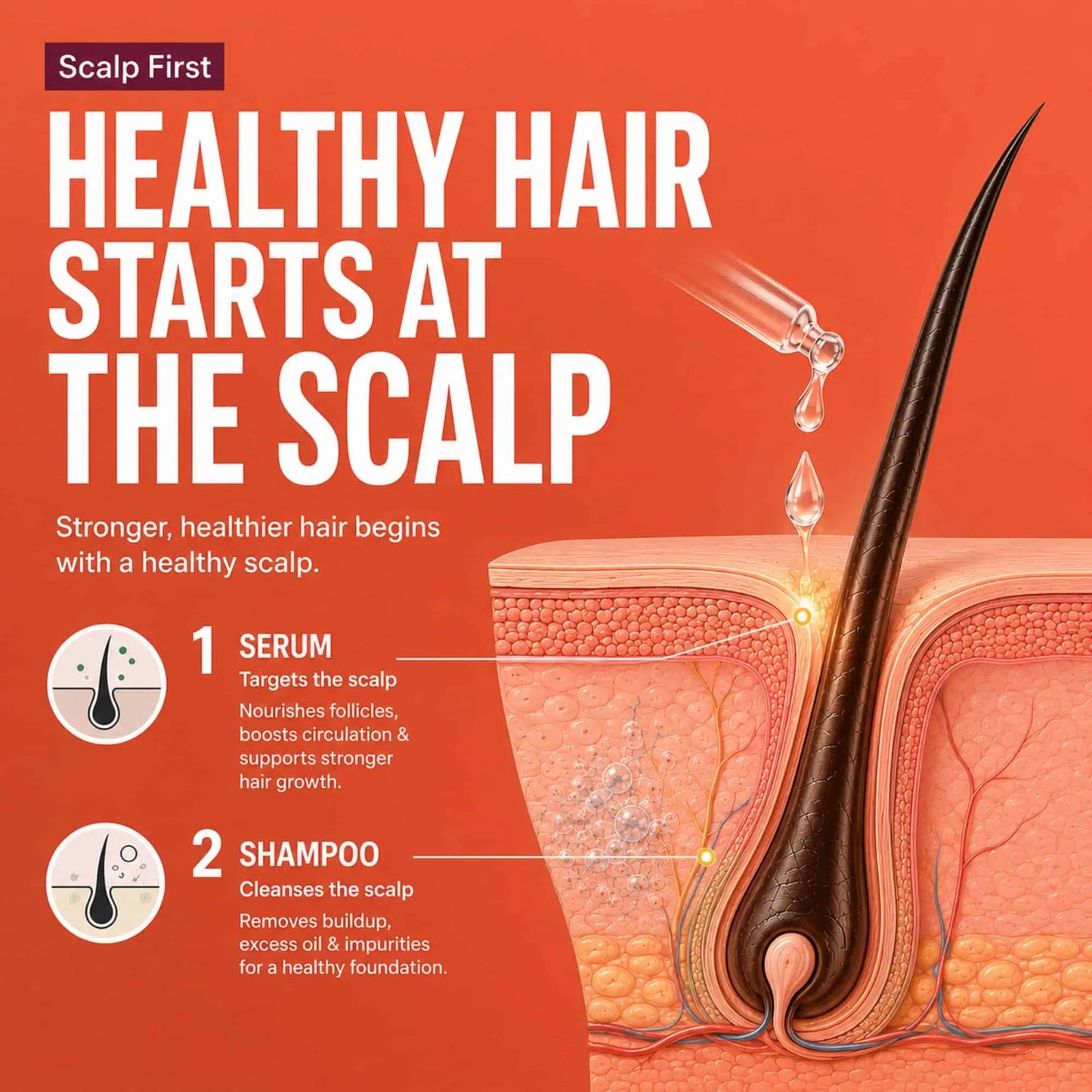 Advanced Hair Growth Trio | Coco Onion Shampoo, Conditioner & Reactivate Hair Growth Serum