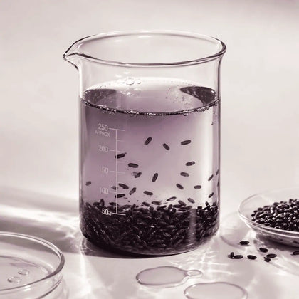 Black Rice Water