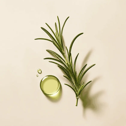 Rosemary Extract