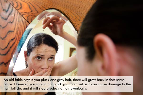 plucking one gray hair can lead to three more is a myth